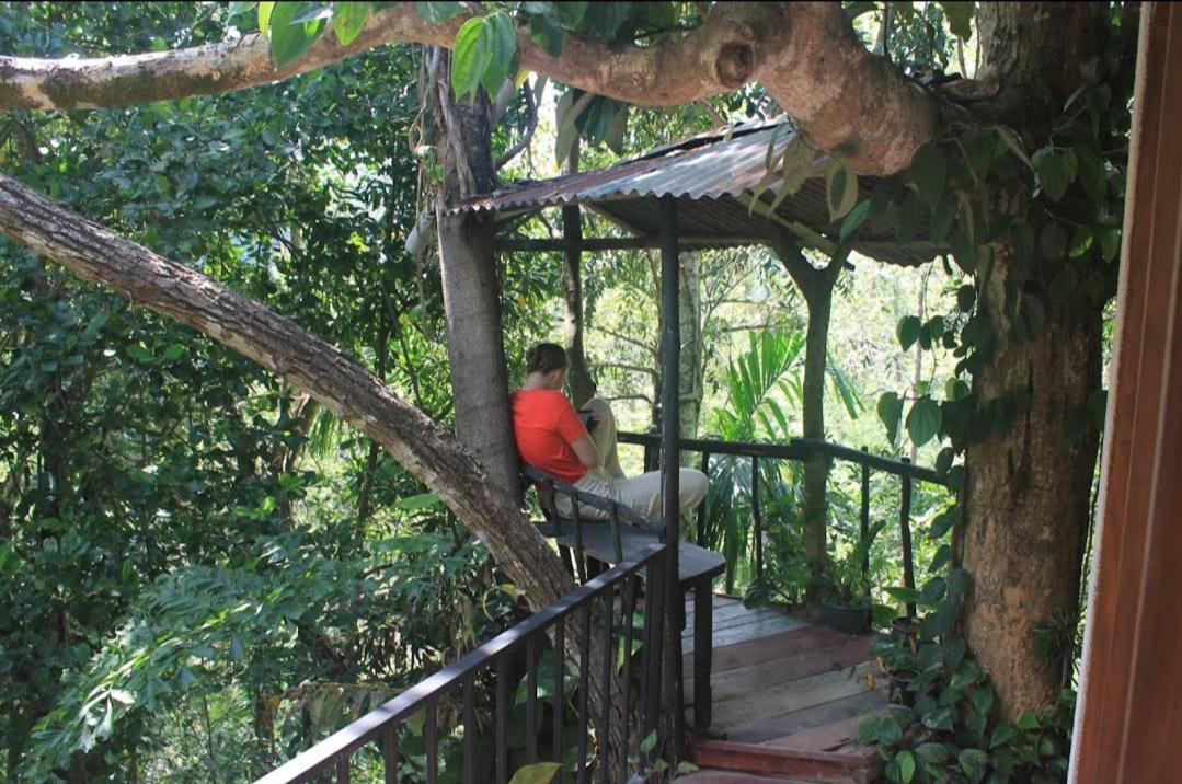 Pepper Garden Resort Ella Exterior foto